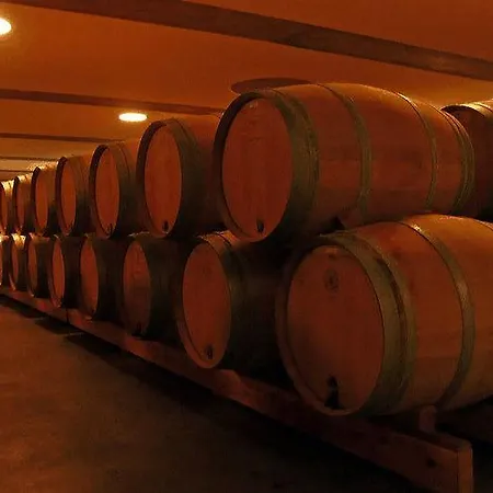 Holiday Domaine Du Grand Tourtre I *